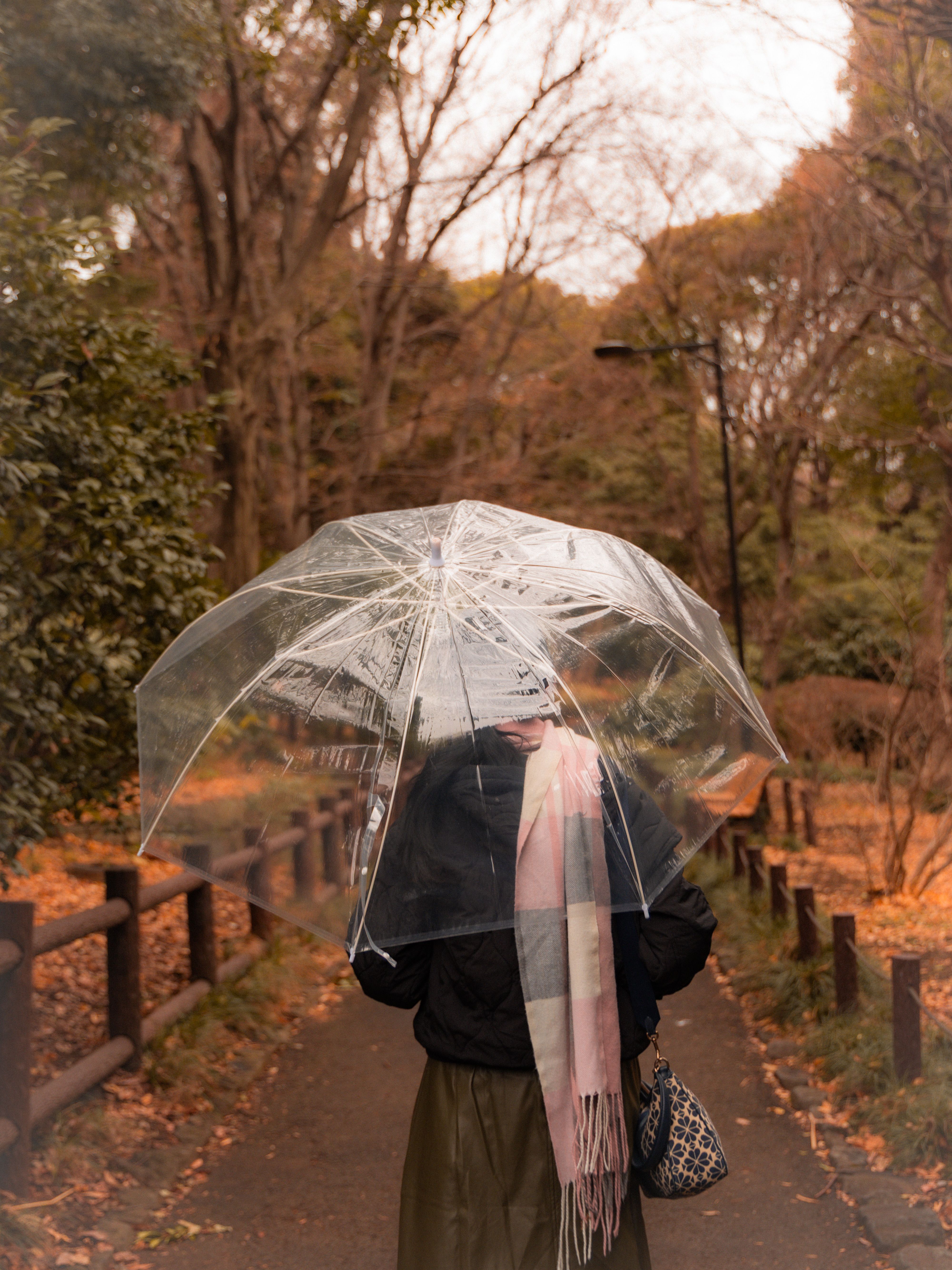 Woman Strolling in Autumn Park with Umbrella · Free Stock Photo