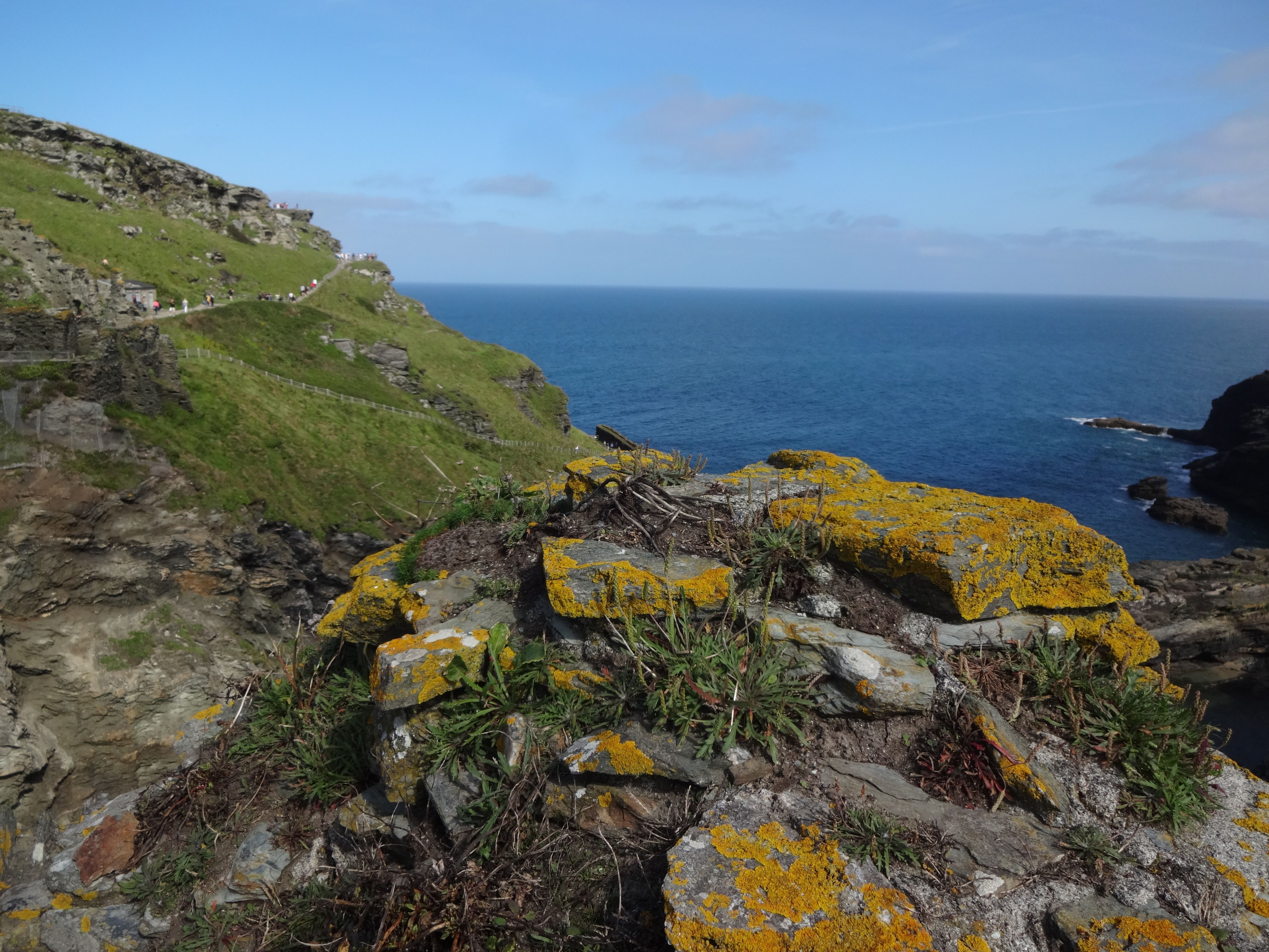 Scenic coastal cliffs overlooking the Atlantic Ocean at Tintagel in Cornwall, UK.