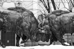 Bronze bull sculpture in monochrome winter setting, showcasing urban public art.