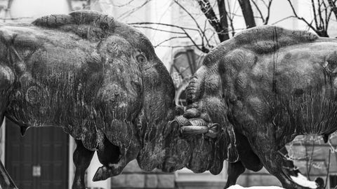 Bronze bull sculpture in monochrome winter setting, showcasing urban public art.