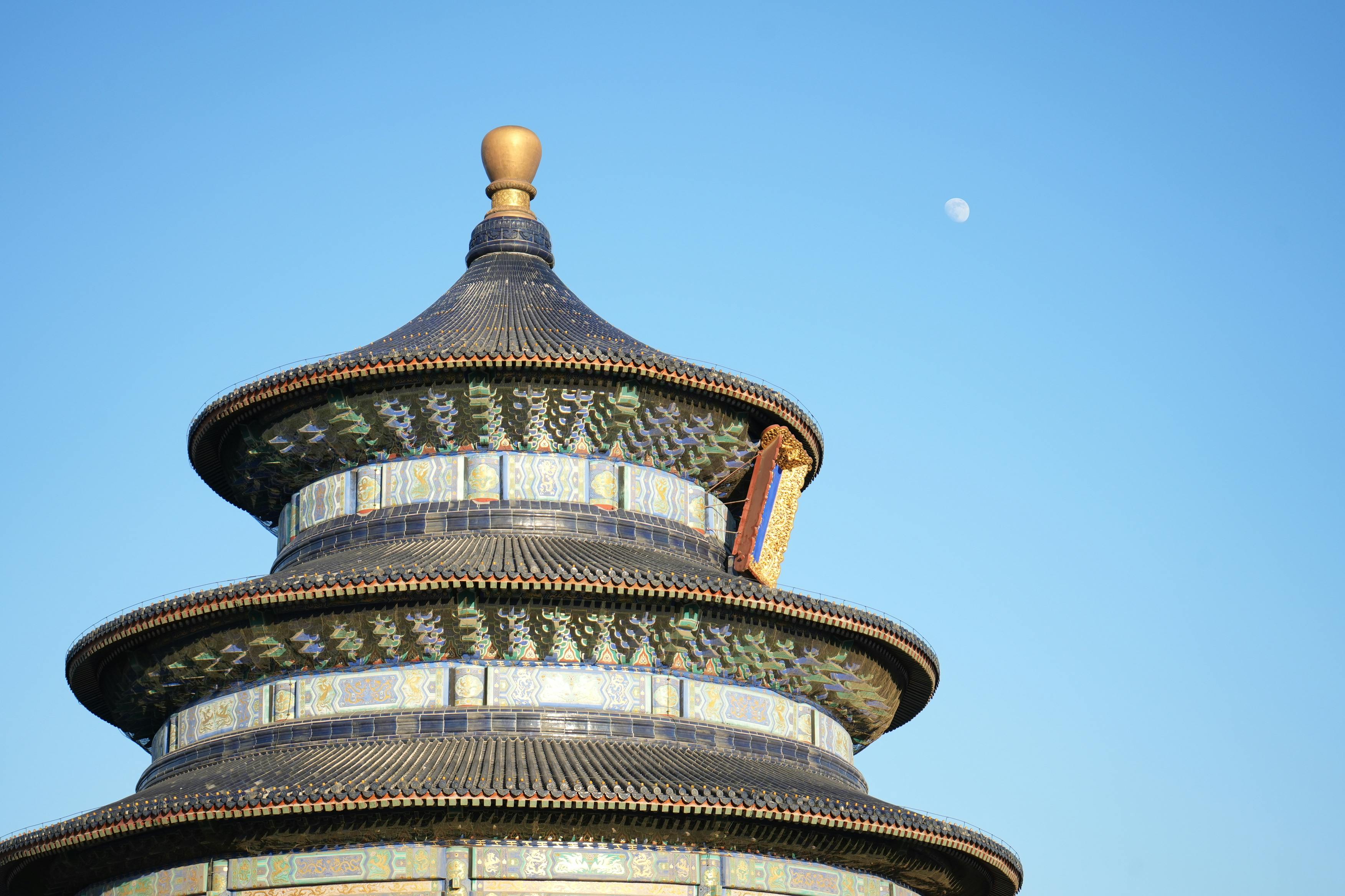 beijing pet technology — Photo by YiTian on Pexels
