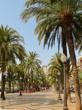 Stunning palm-lined promenade in Alicante, Spain, under clear blue skies.