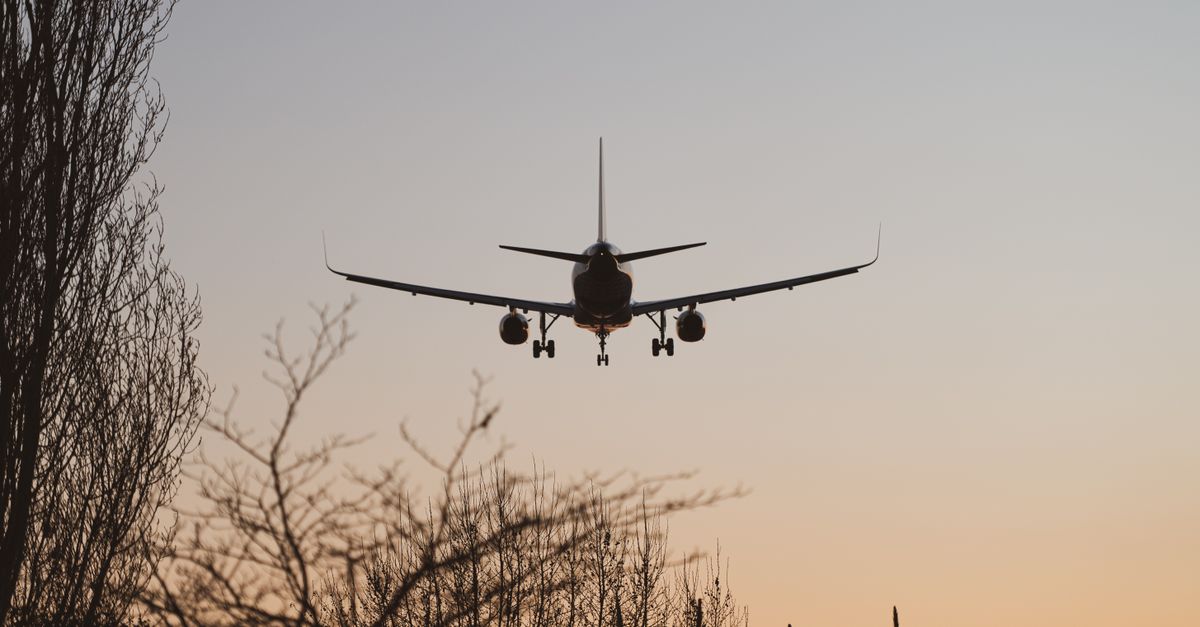 Silhouette of airplane landing amidst trees during sunset, showcasing aviation beauty.