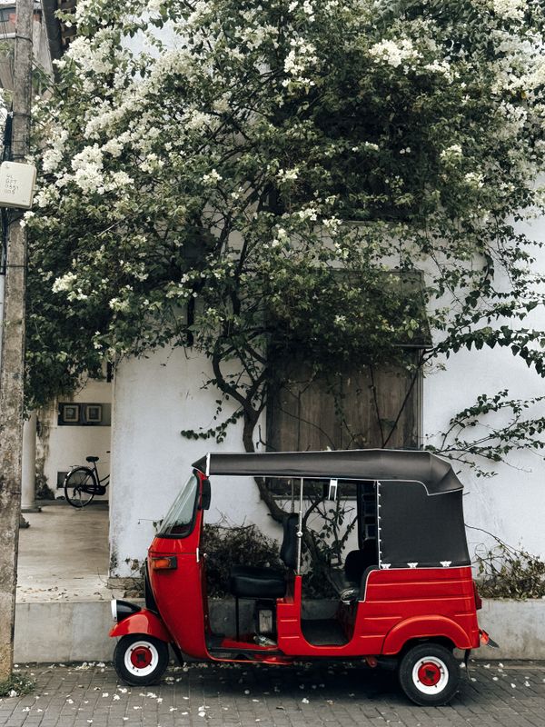 Why Do Tuk Tuks Have So Many Stickers?