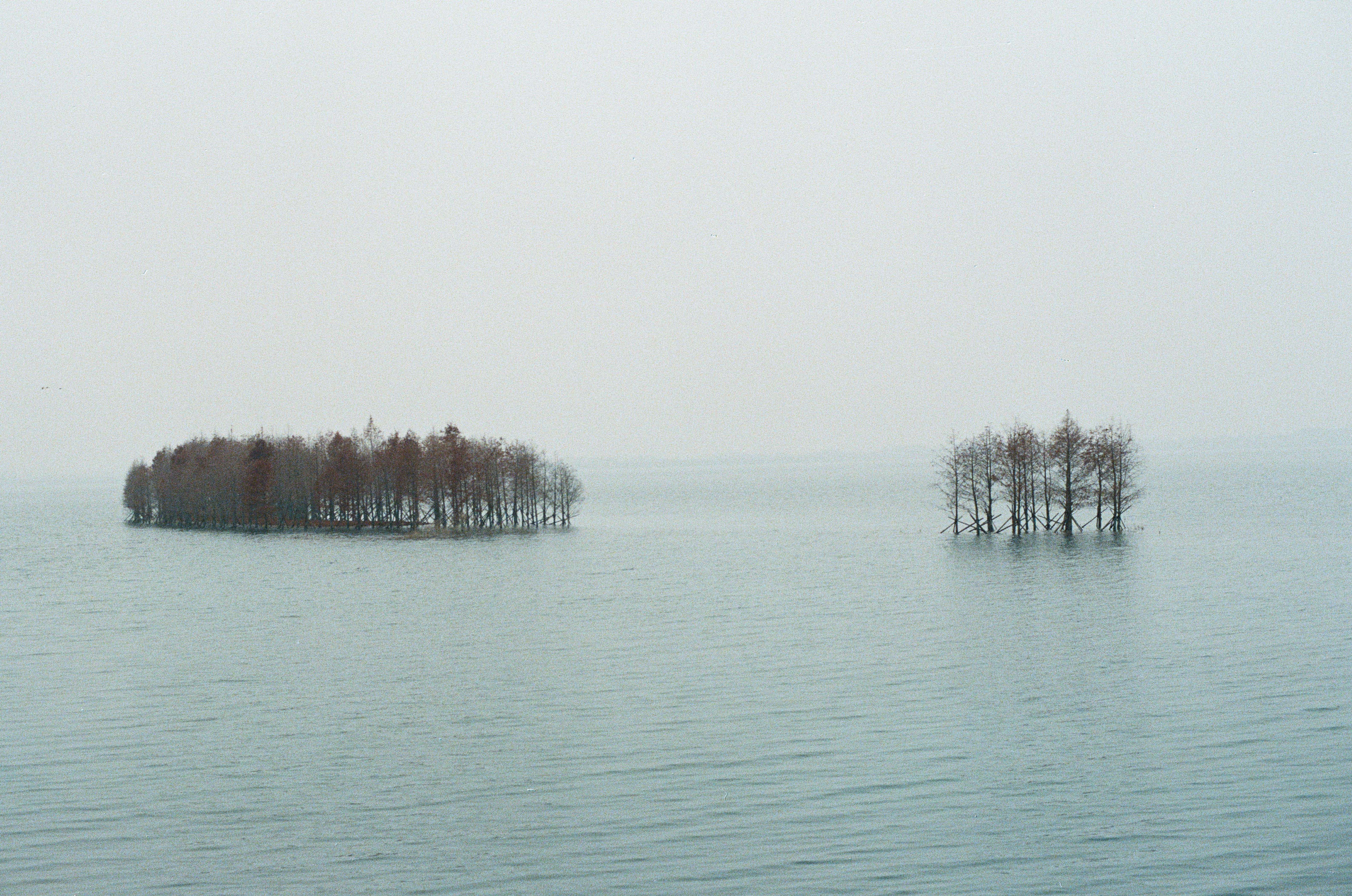 雾凇岛
