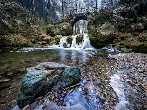 Foto d'estoc gratuïta de aigua, bosc, boscos