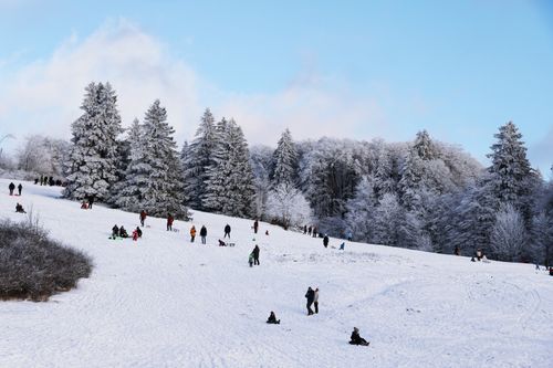 Free People enjoying sledding on a snowy slope surrounded by frosted trees. Stock Photo