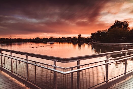 宁静的日落时分，鸭子在树木环绕的湖中游动，倒影清晰