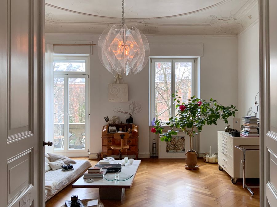 Contemporary living room with rustic accents and plants