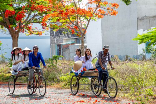 Free Captured moment of girls in traditional dress enjoying a cyclo ride under vibrant blooming trees in Vietnam. Stock Photo