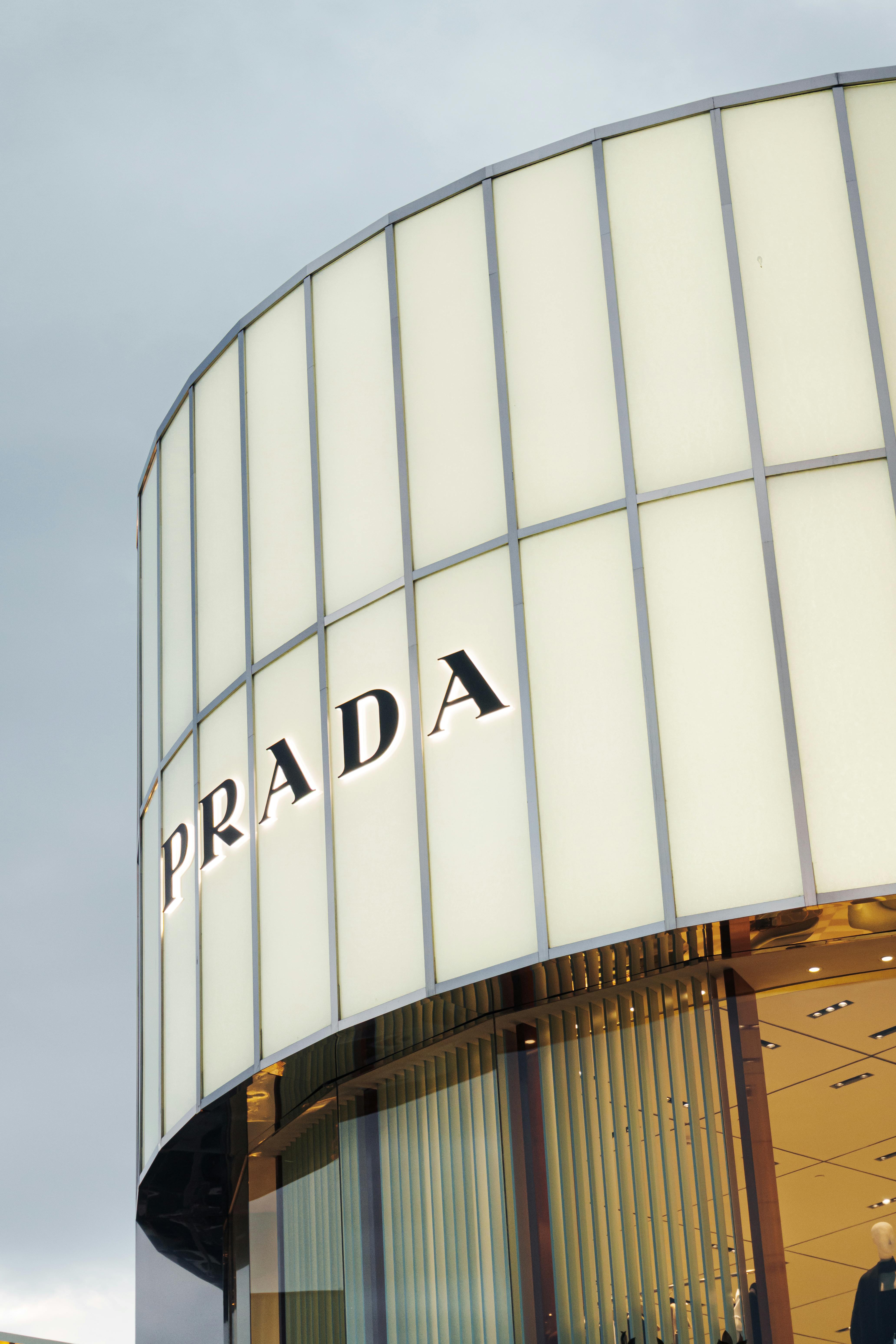 Building a Brand That Scales: From Startup to Industry Leader