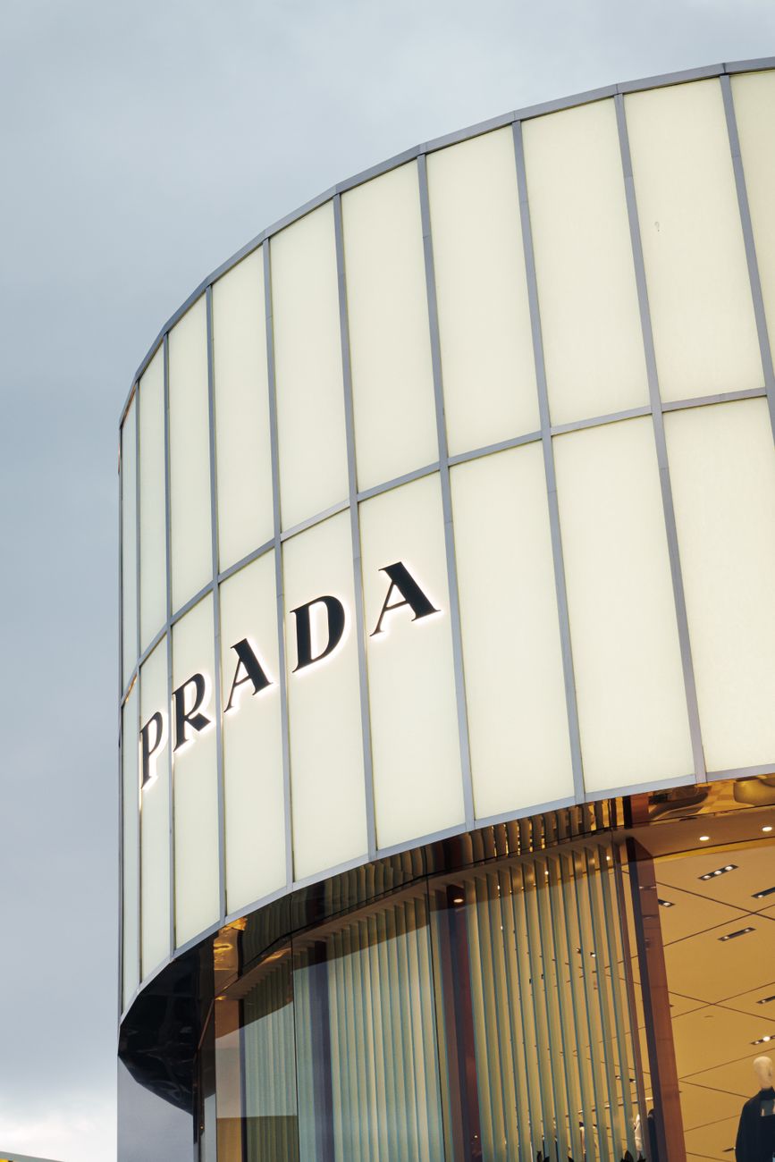 Building a Brand That Scales: From Startup to Industry Leader
