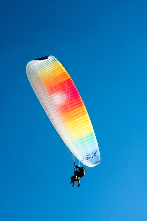 Free A colorful paraglider soaring against a clear blue sky, showcasing adventure and freedom. Stock Photo