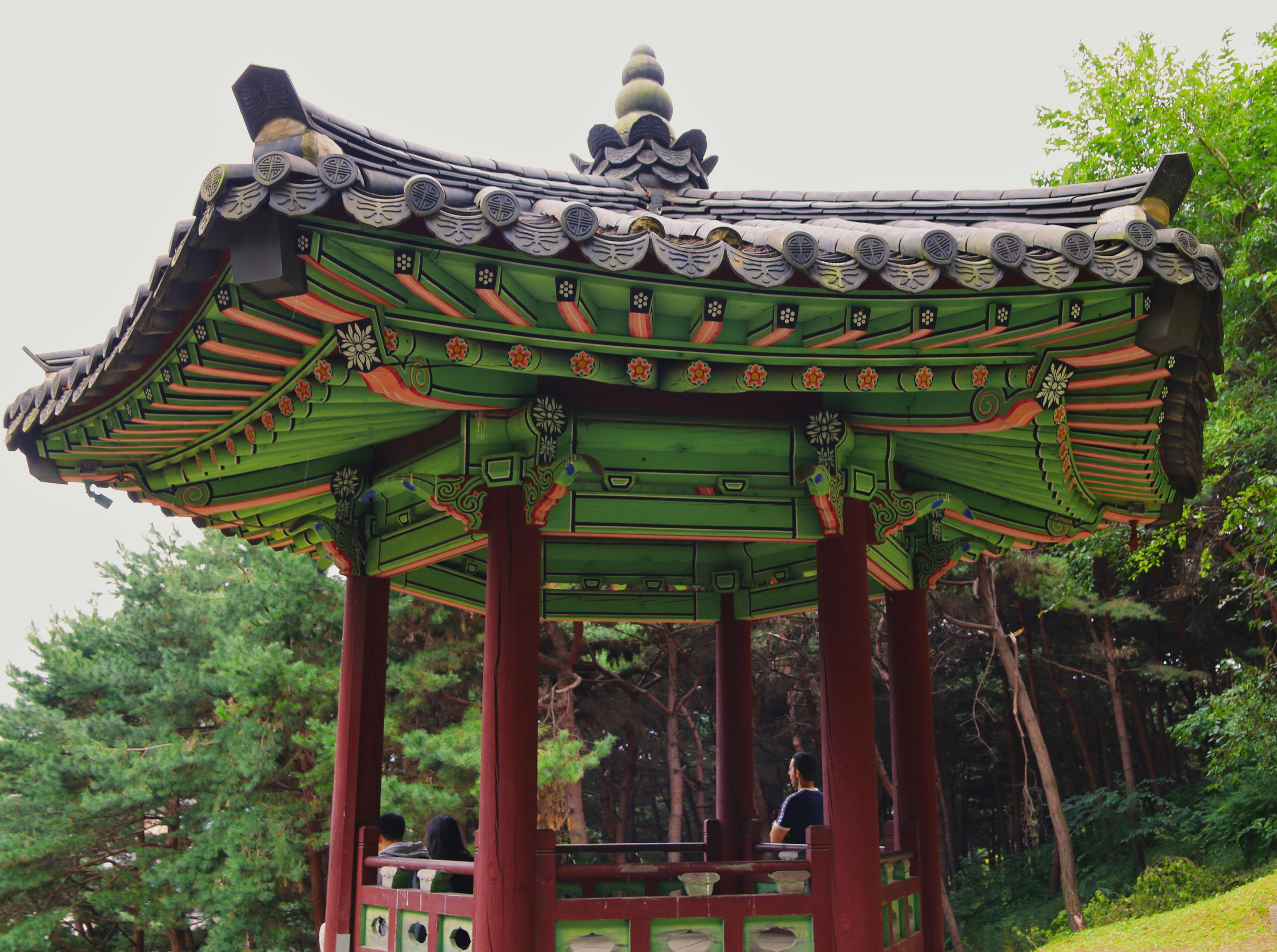 K‑Hiking Tourism in Korea Surges as Young Locals and Global Visitors Embrace Seoul’s Mountain Trails and National Parks, Back