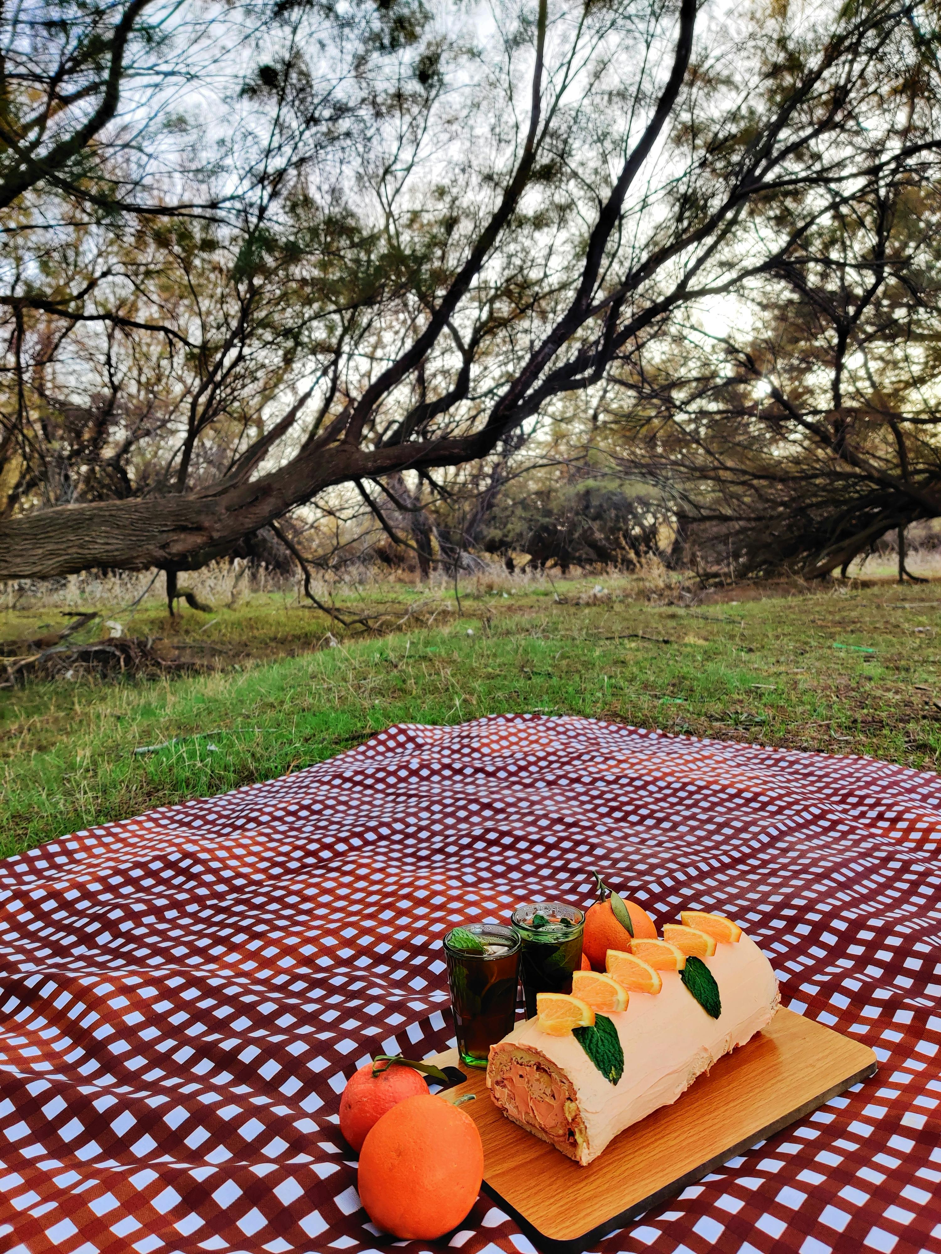 Outdoor picnic scene featuring citrus cake on a checkered blanket under trees.