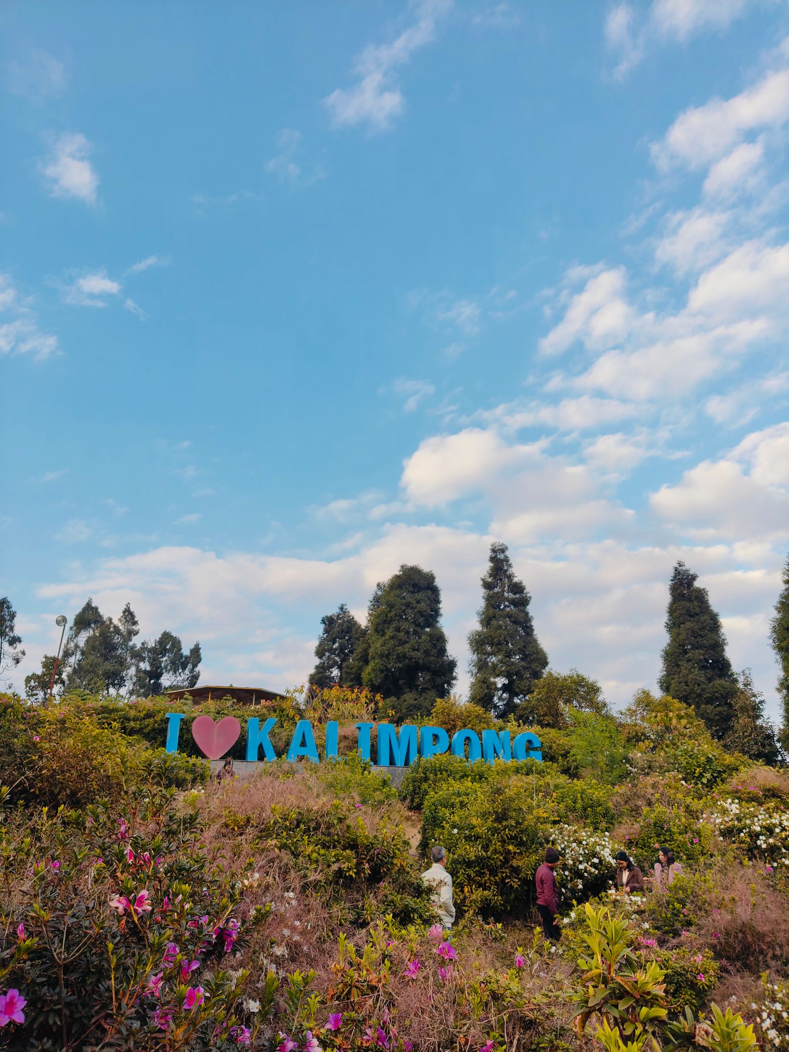 The I love Kalimpong sign among flowering shrubs and tall cryptomeria in the hilltop park at Deolo, under a blue sky