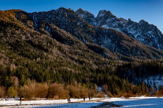 Stunning winter view of Kranjska Gora's mountains and forest.