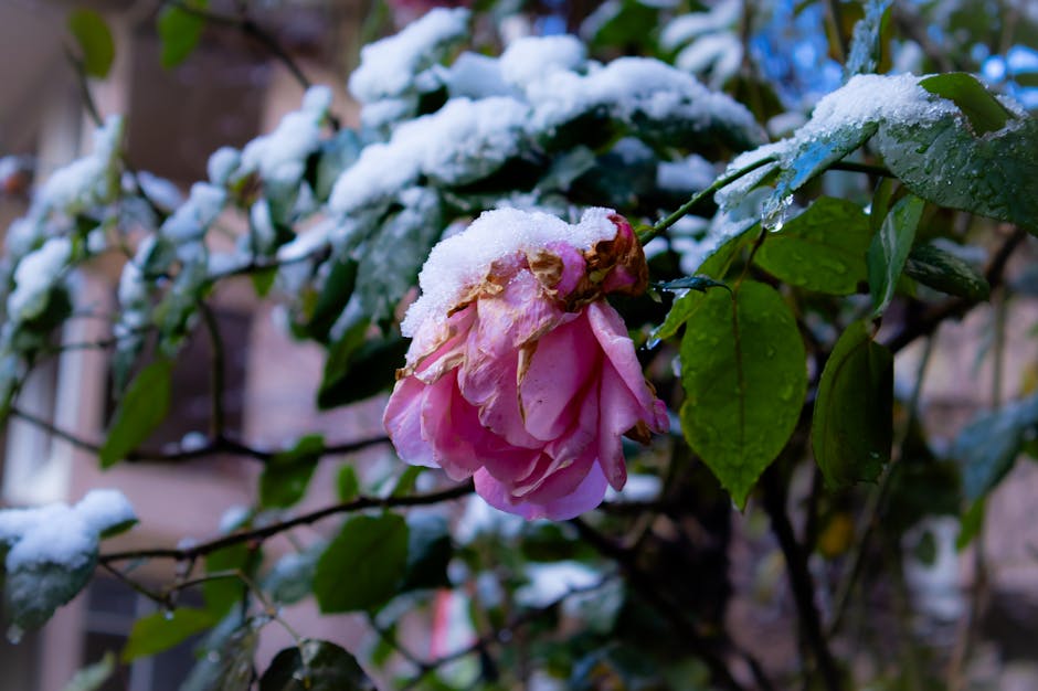 Vremenska slika Evrope