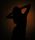 woman shadow