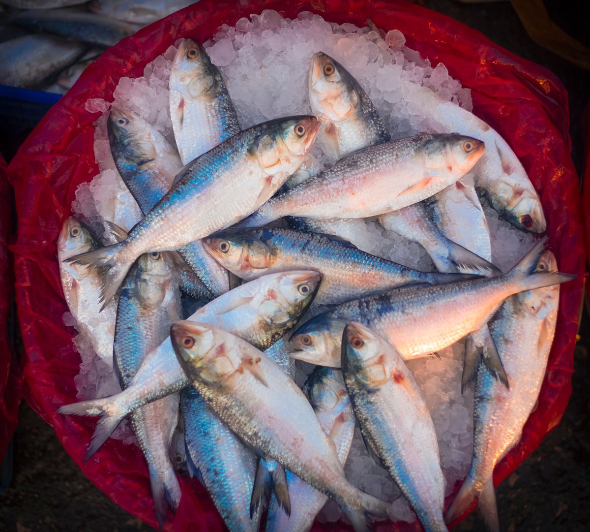 Cheap eats in Cox's Bazar under $10