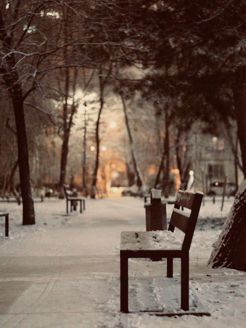 Free A tranquil snow-covered park in Chisinau, Moldova, during twilight, showcasing benches and softly lit trees. Stock Photo