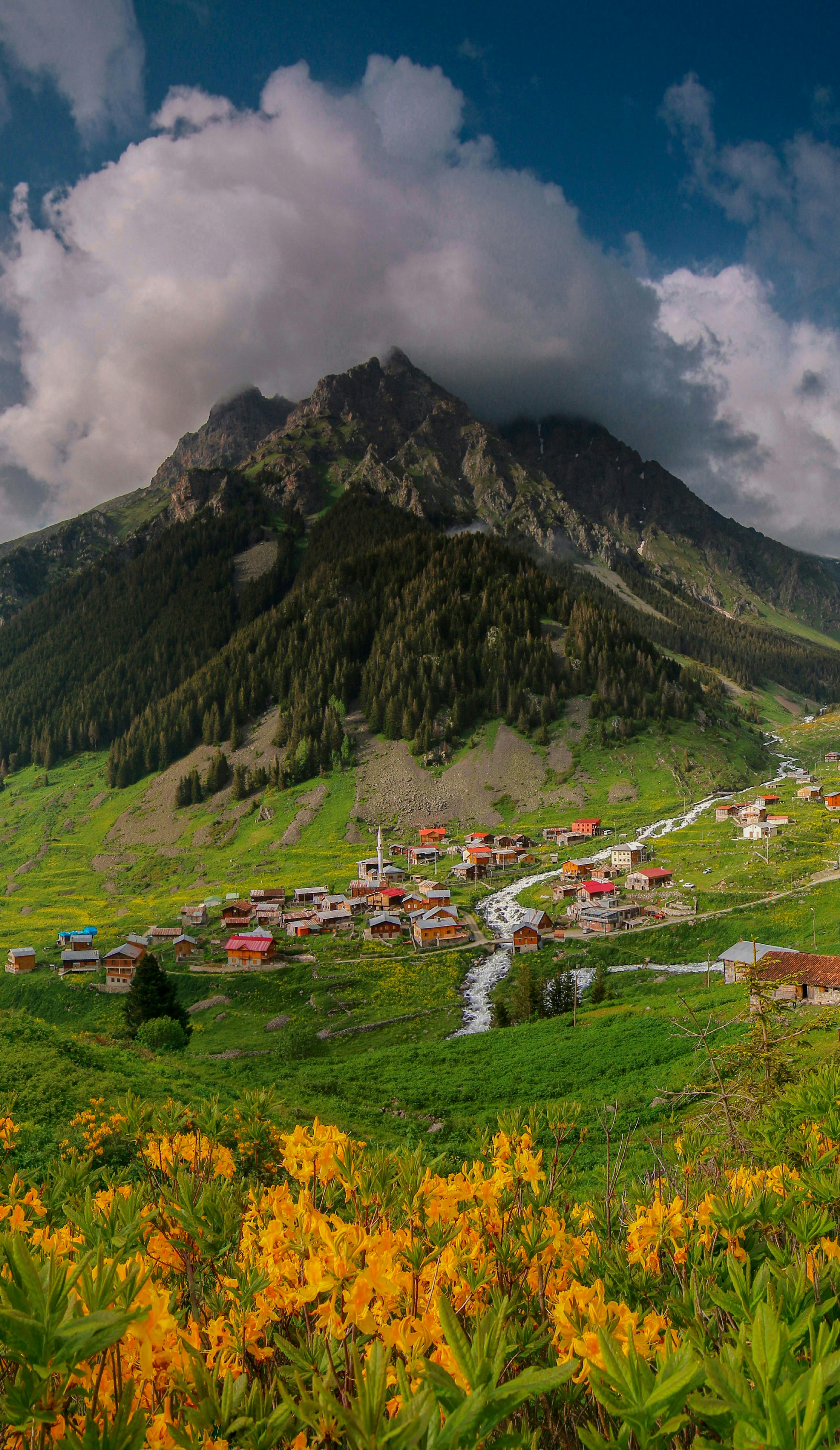 A breathtaking view of a vibrant village nestled in the mountains of Rize, Türkiye, under a dramatic sky.