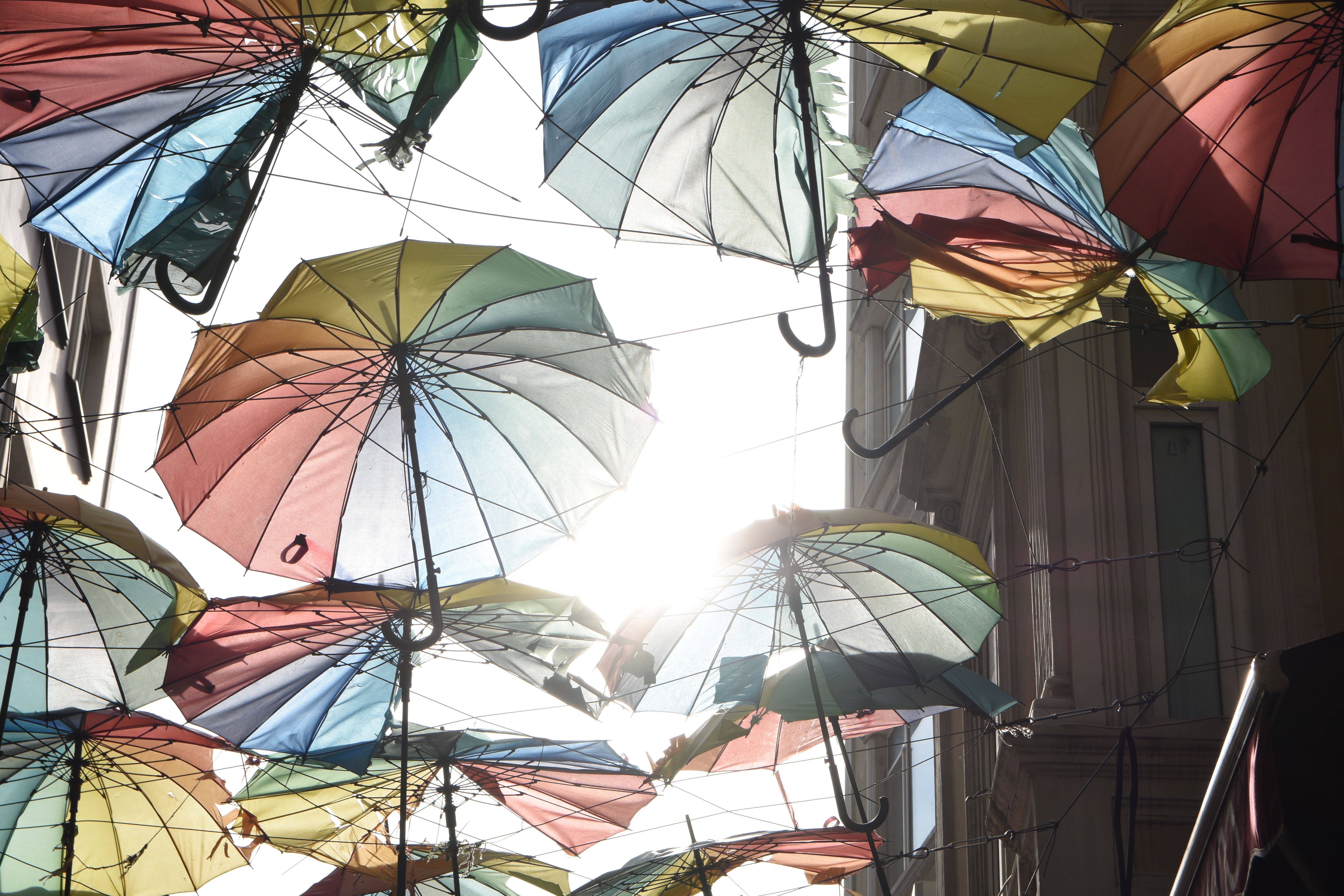 Best Umbrella Insurance 2026: Extra Liability Protection Explained