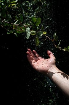 A hand reaches out under a gentle forest waterfall, symbolizing a connection to nature.