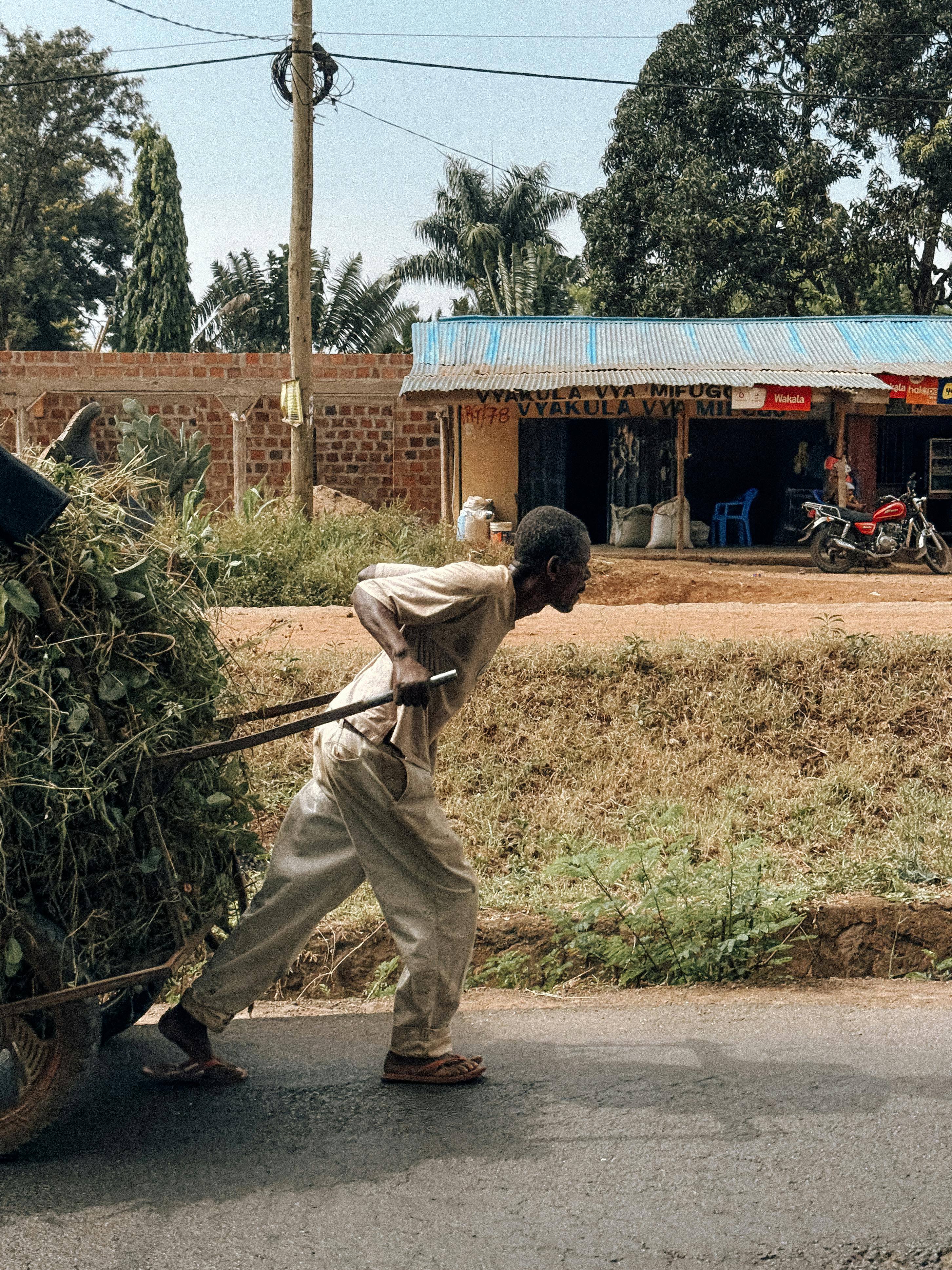 An elderly man pulls a cart filled with grass along a rural Tanzanian road.