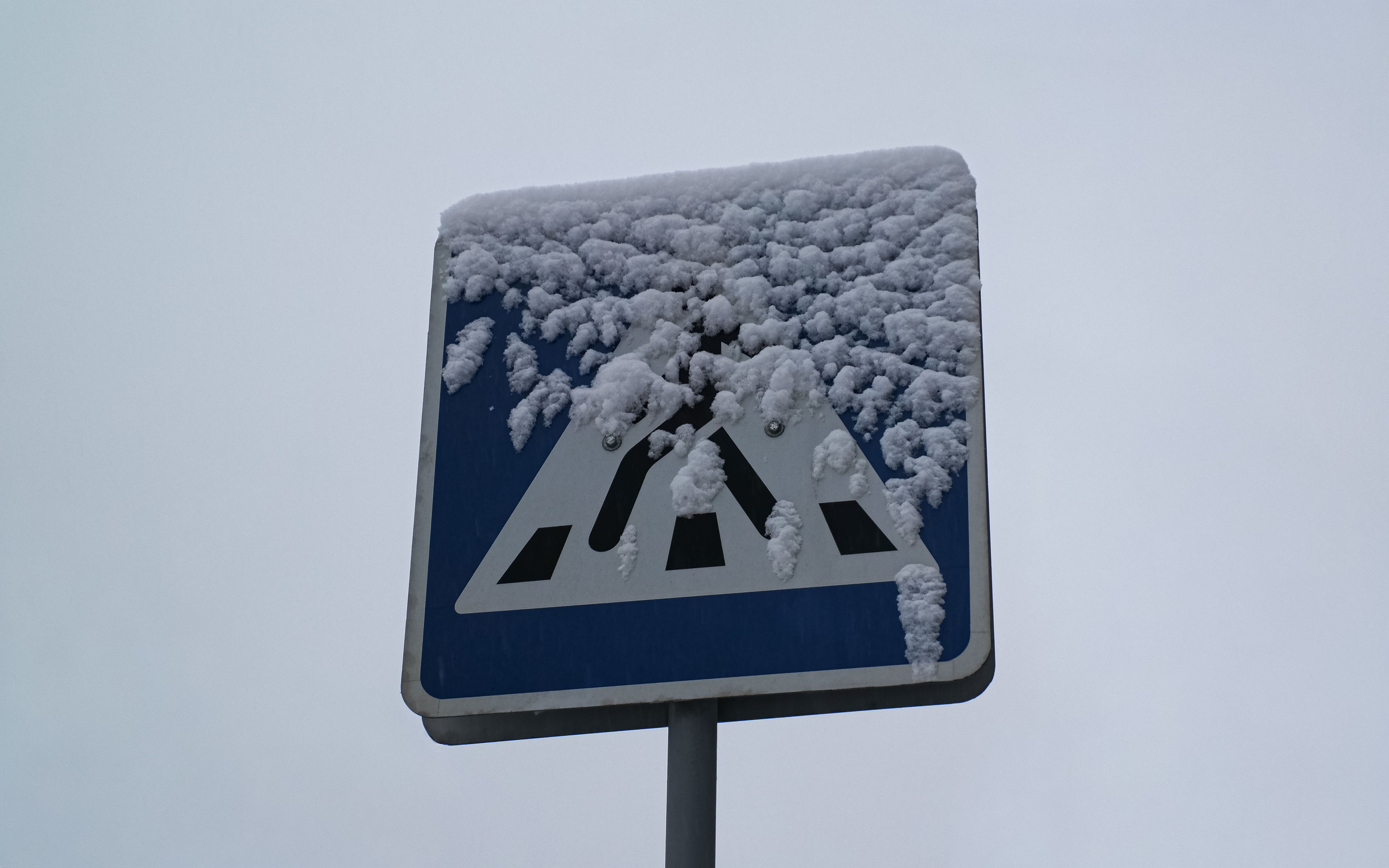 Snow-Covered Pedestrian Crossing Sign in Winter · Free Stock Photo