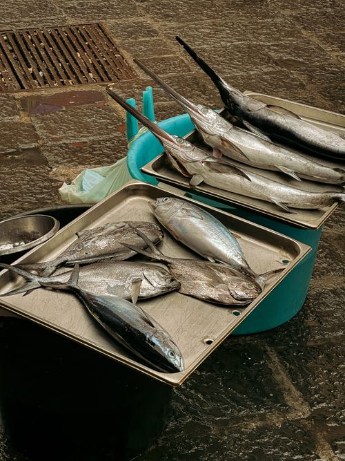 Free Assorted fresh fish on trays at an outdoor market in Catania, Sicily. Stock Photo