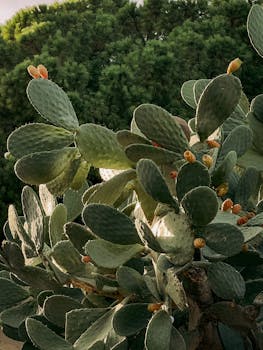 Image by Alisa Skripina