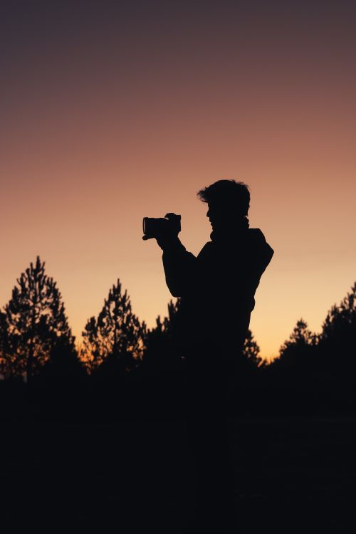 Free Dramatic silhouette of a photographer capturing the sunset in a pine forest landscape. Stock Photo