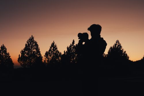 Free Silhouette of a photographer capturing the sunset in a tranquil pine forest setting. Stock Photo