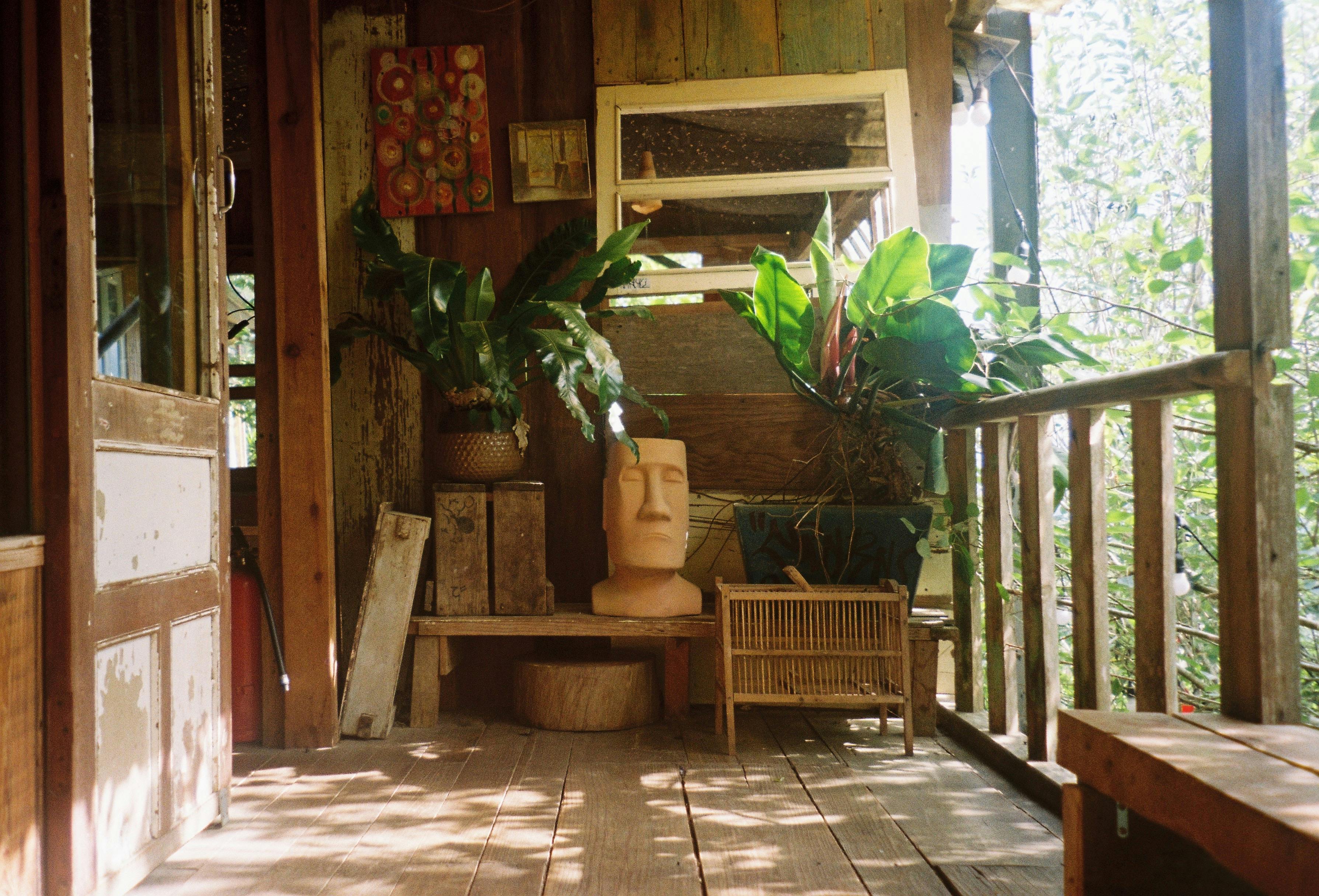 The ‌Benefits of Choosing‍ Sustainable Wood Options