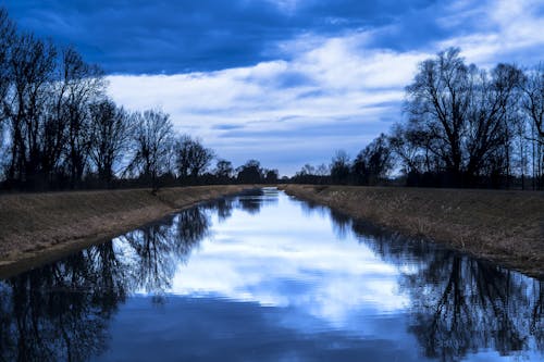 River Between Trees