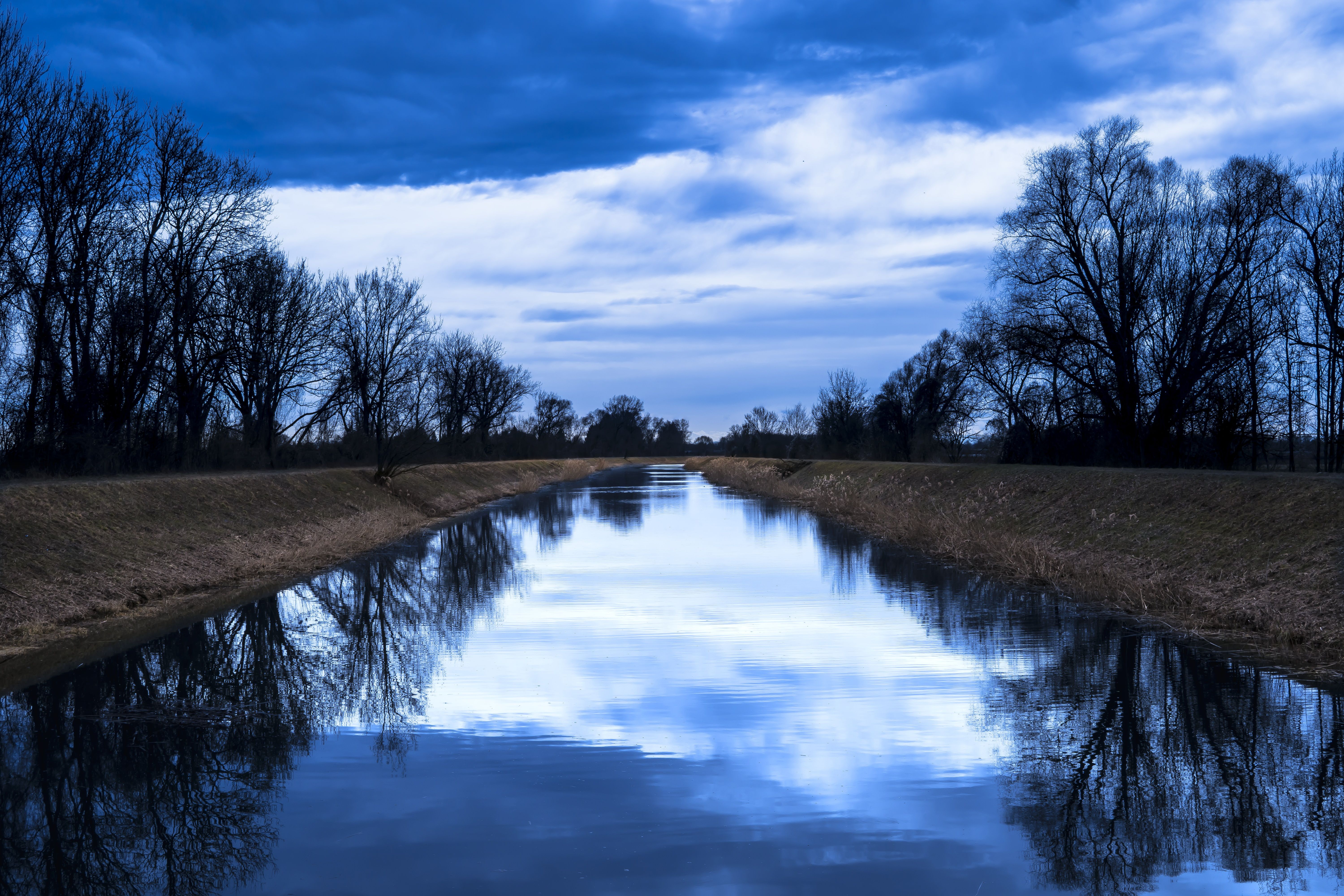 River Between Trees · Free Stock Photo