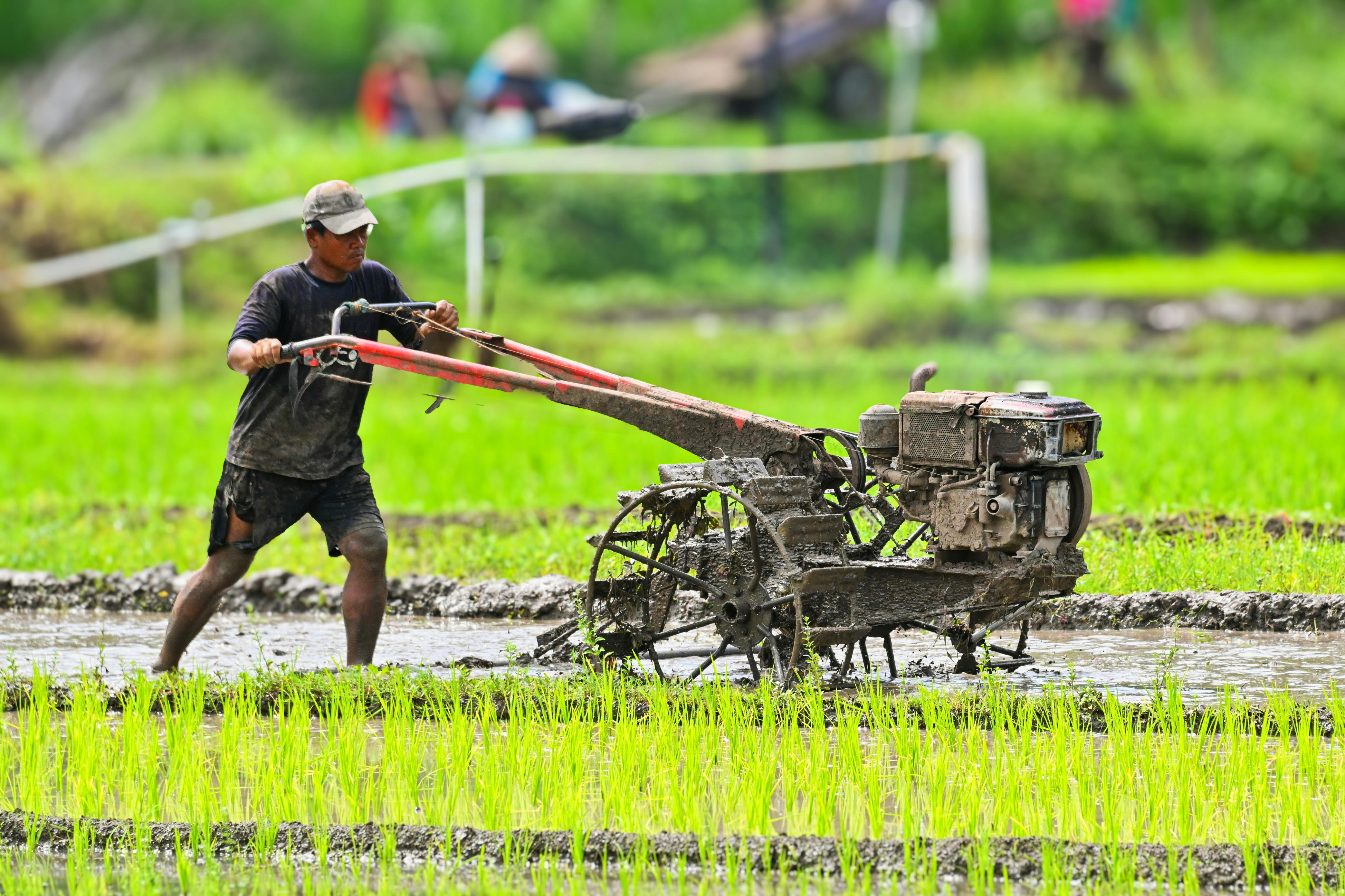 Many farmers utilize life insurance for farm financing — Photo by Suryo Patriandito on Pexels