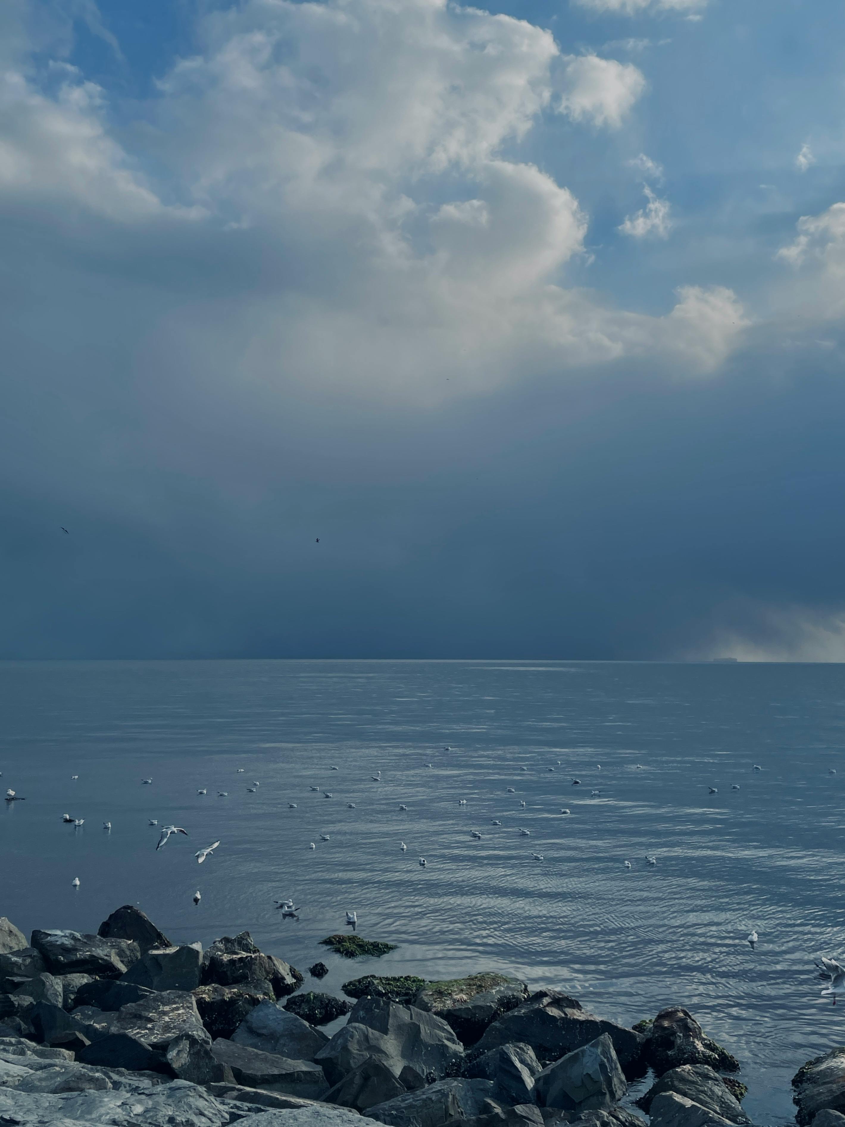 Comparative ​analysis with Top Competitors in the‌ Market