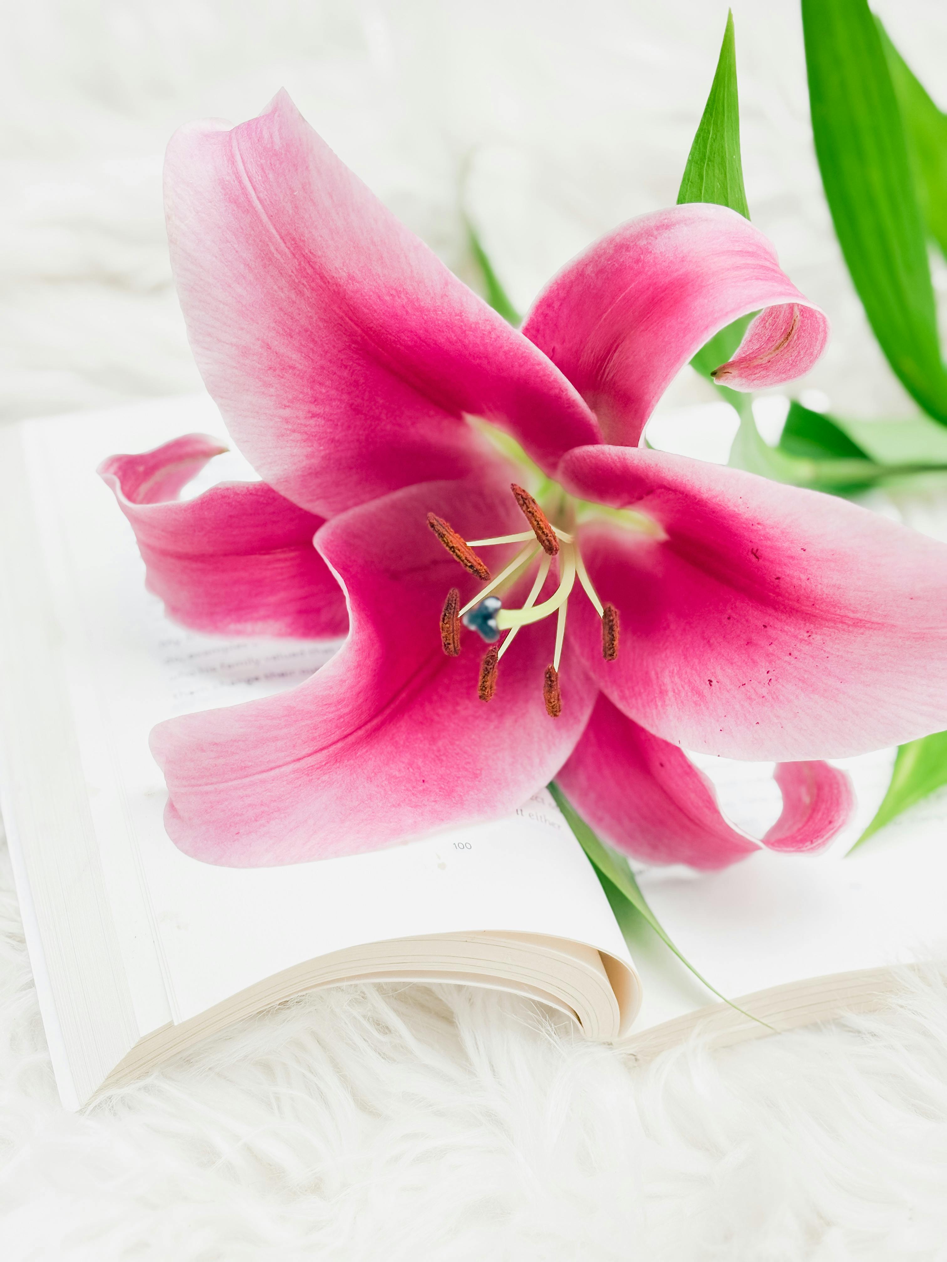 Comparative insights with Other Blenders