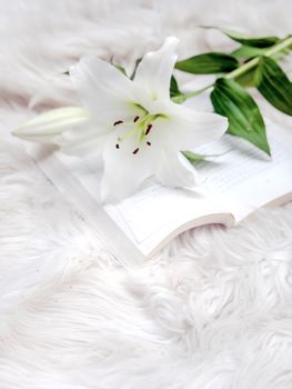 Elegant white lily placed on an open book with a soft, fluffy background.