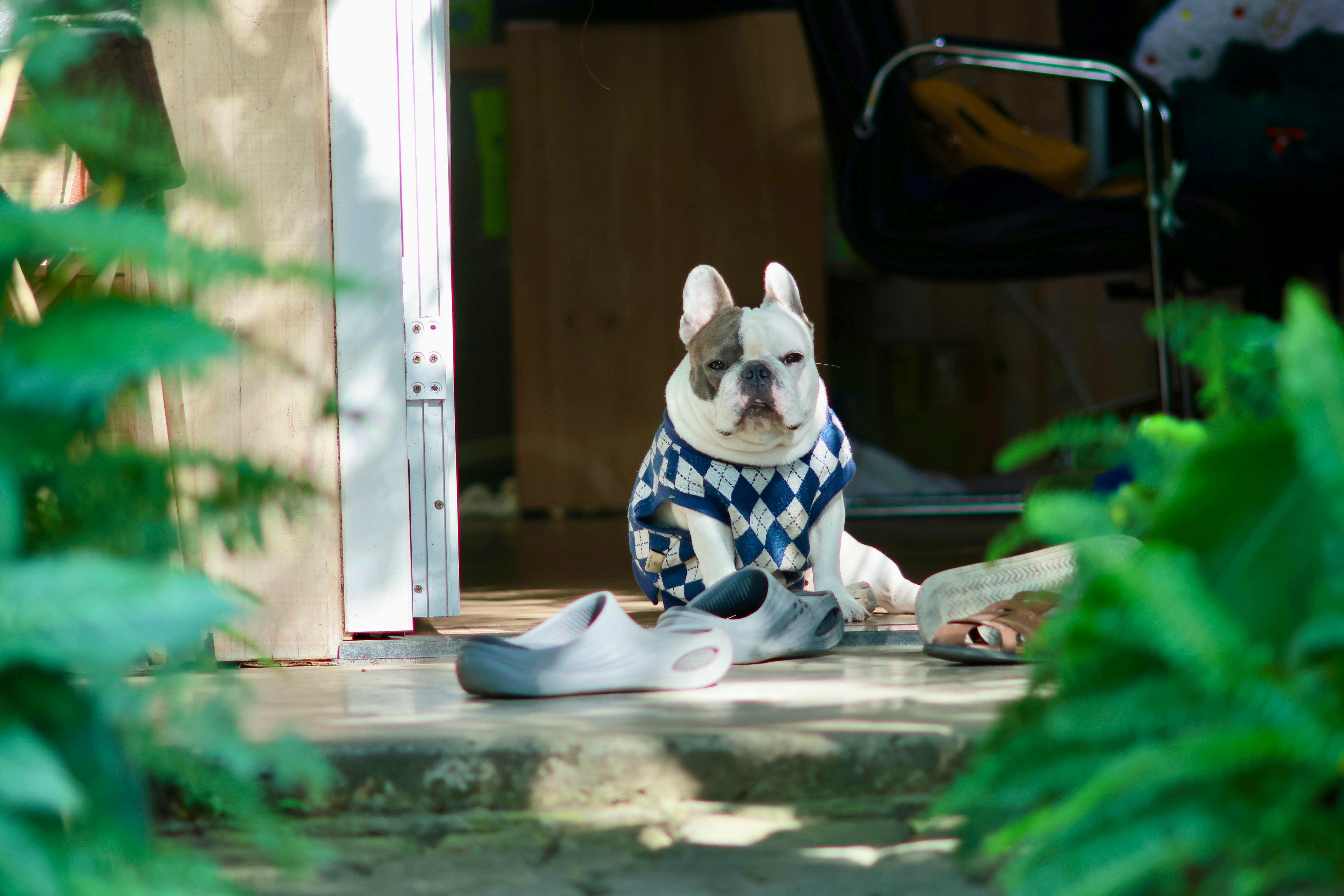 Exploring Comfort: ⁢What to Look for in Footwear