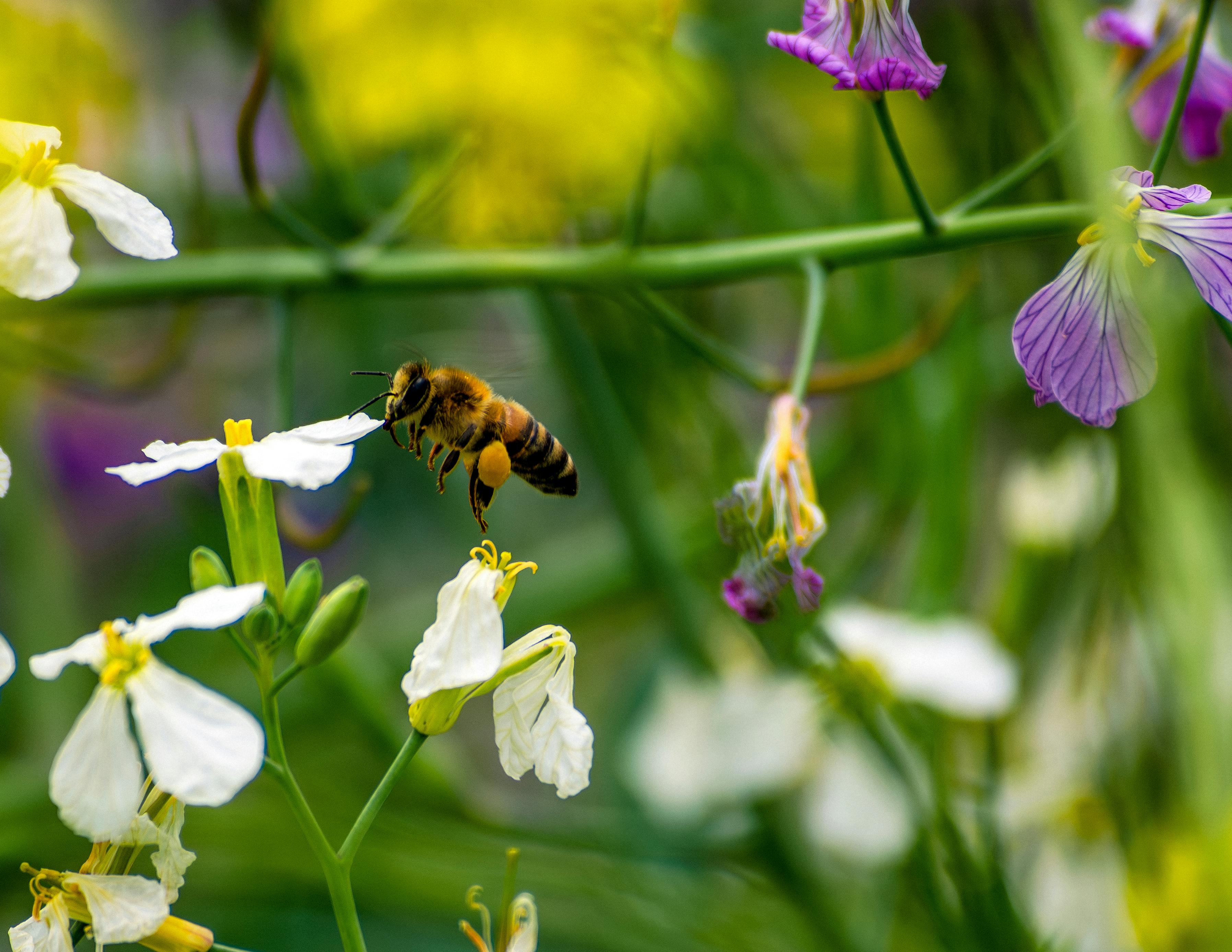 Ark Valley Civics Bee Competition to Send Three Local Students to State — Photo by Thomas Parker on Pexels