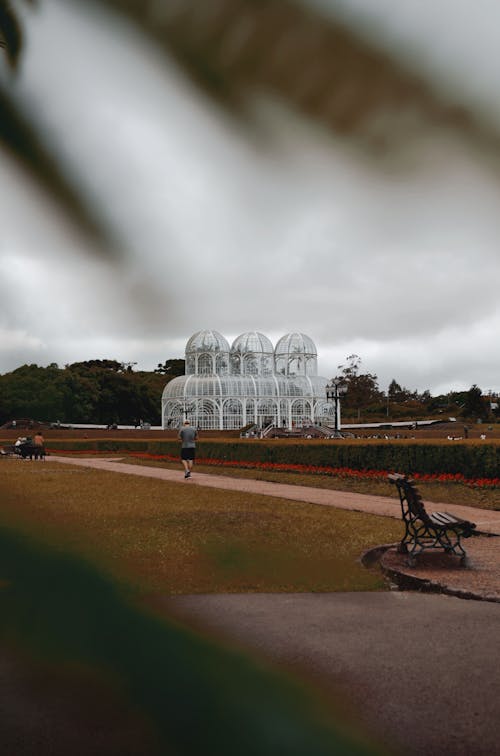 Foto d'estoc gratuïta de curitiba, jardí Botànic