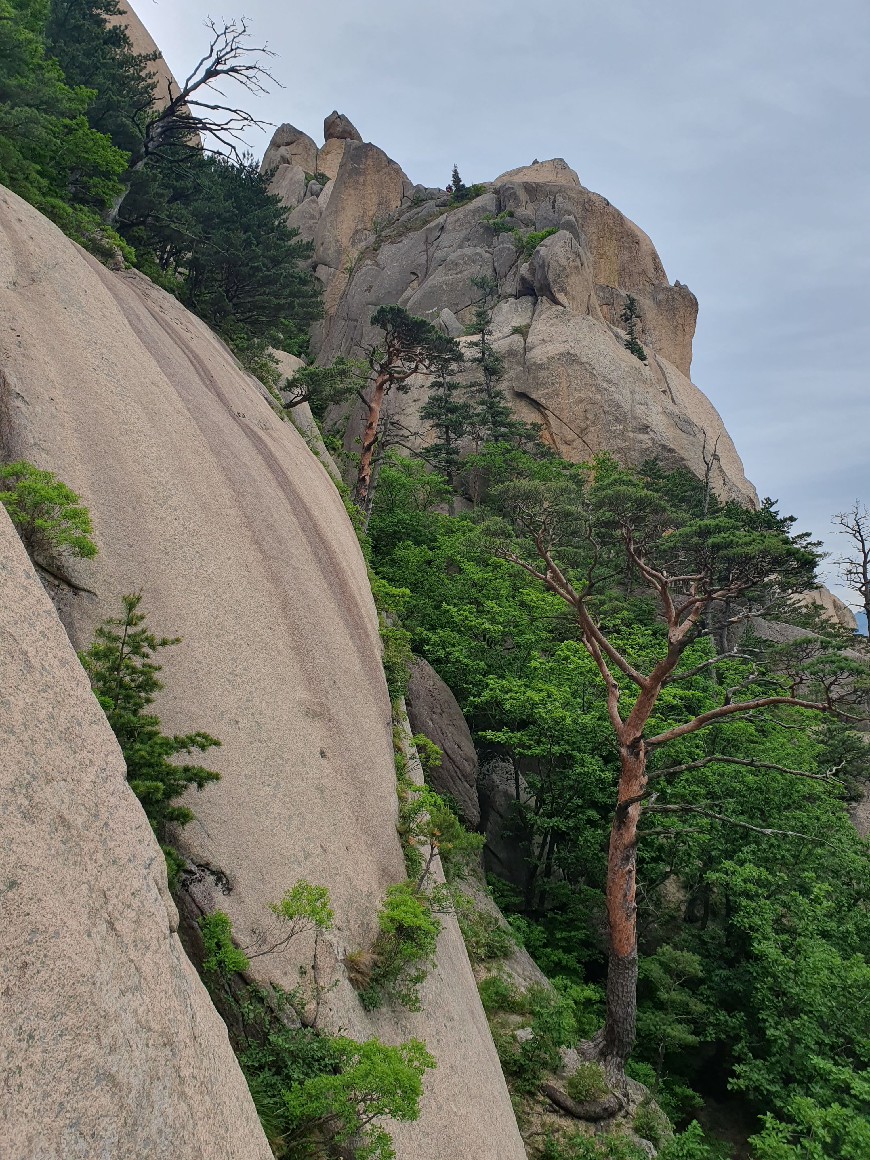 seoraksan national park hiking panduan dengan jalur Ulsanbawi Rock dan formasi batu besar