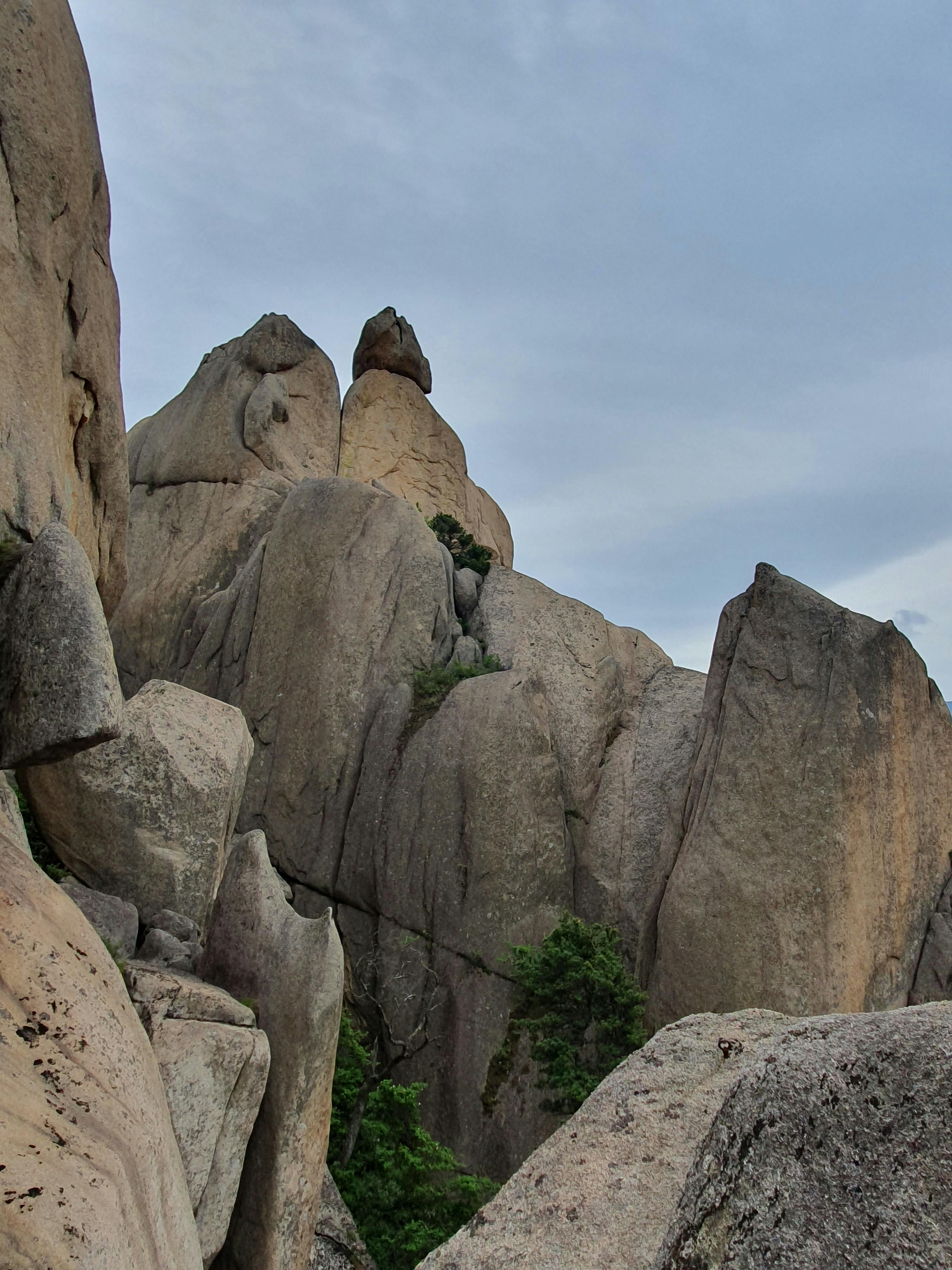 Korea Rasmlari Photos, Download The BEST Free Korea Rasmlari Stock ...