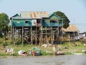 Scenic view of traditional stilt houses along a riverbank in rural Cambodia.