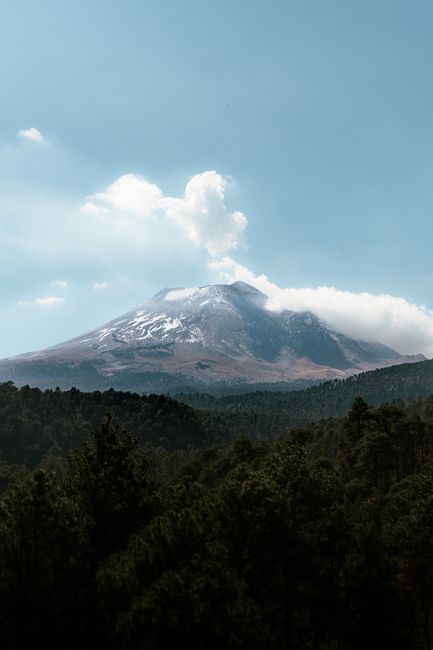 Experience the awe-inspiring beauty of a snow-capped volcano amidst a serene alpine forest in Mexico.