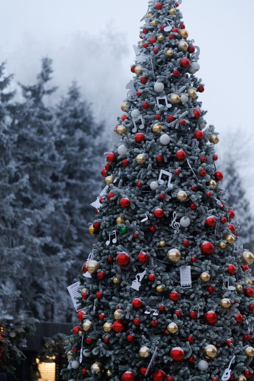 Free A richly decorated Christmas tree adorned with ornaments and music notes, set in a snowy winter landscape. Stock Photo