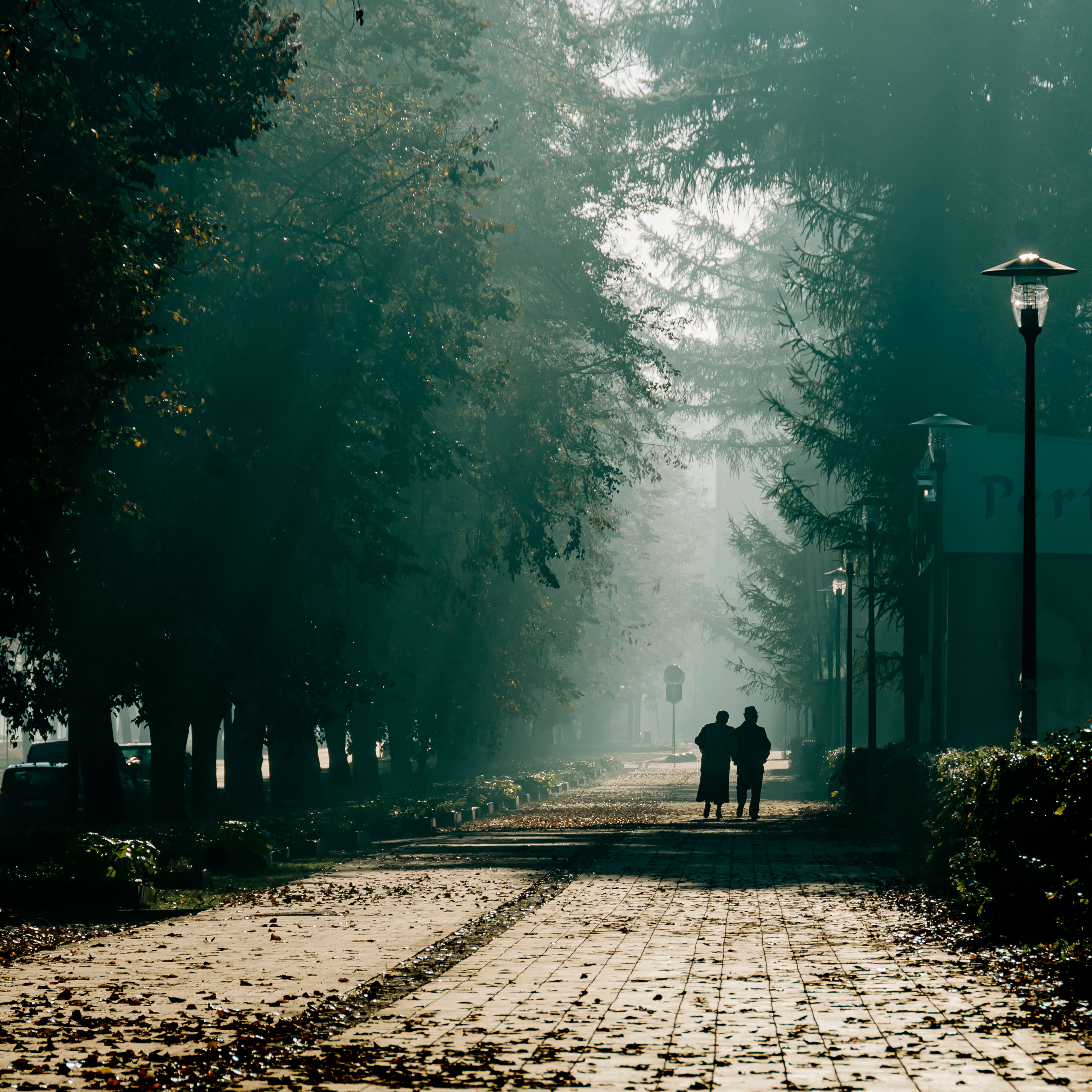 Two people walking through a foggy park path in Tychy, Poland during the early morning.